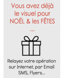 F&ecirc;tes No&euml;l /  Visuel existant