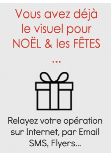 F&ecirc;tes No&euml;l /  Visuel existant