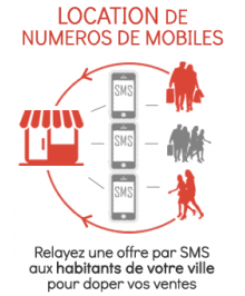 Location de Num&eacute;ros de Mobile et Campagne SMS