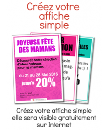 Fetes des Meres / Affiche Simple